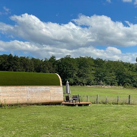 Logement Insolite : La Ruche Verte Monts-sur-Guesnes Luaran gambar